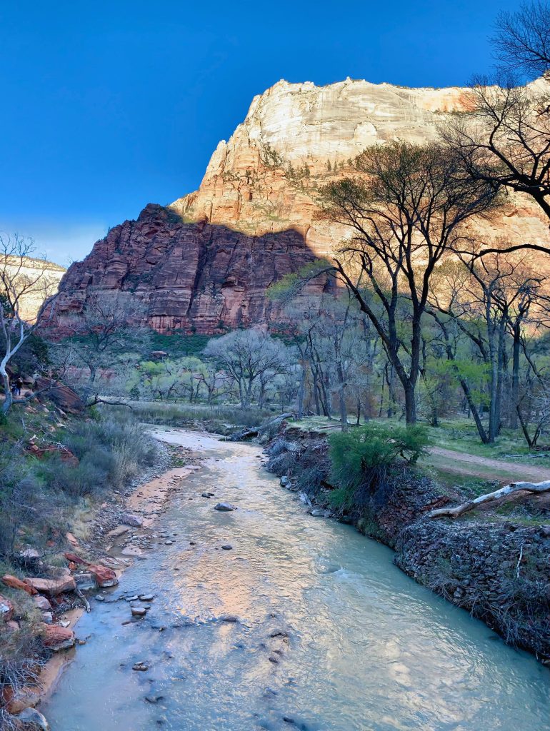 The cliffs of zion National Park during the sunset