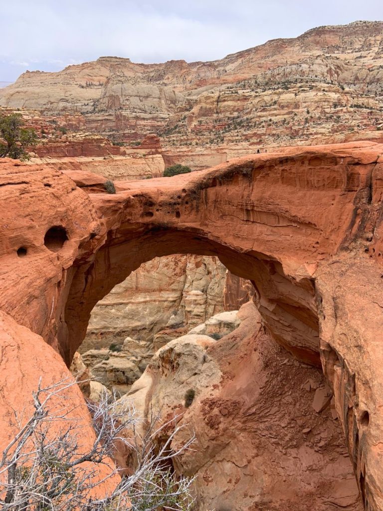 Cassidy Arch in Capitol Reef National Park