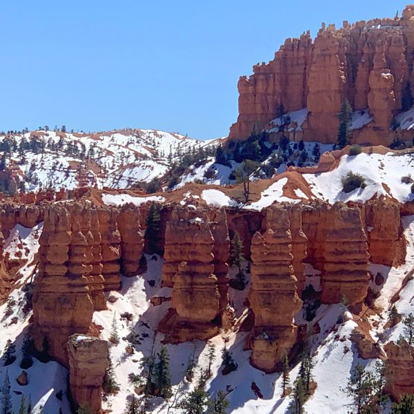 Hoodoos in the best season to visit Bryce Canyon National Park