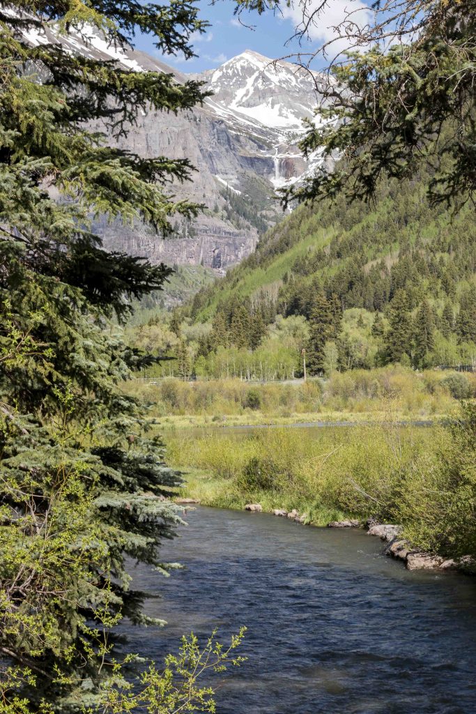 Beaver pond and mountains in Telluride in summer