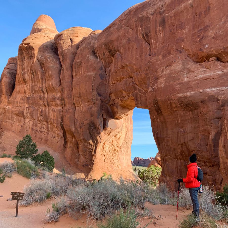 Pine Tree Arch in Arches National Park