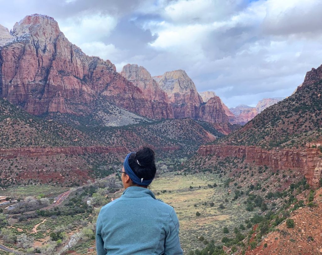 Zion Canyon from Watchman Overlook