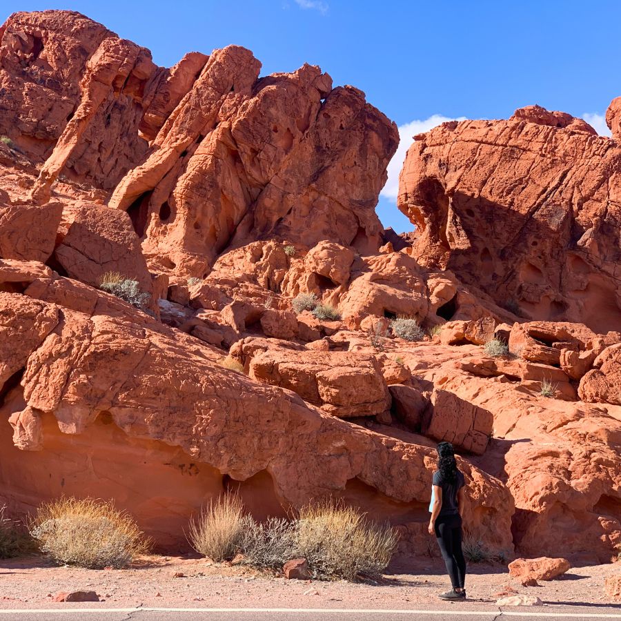 Elephant Rock in Valley of Fire State Park