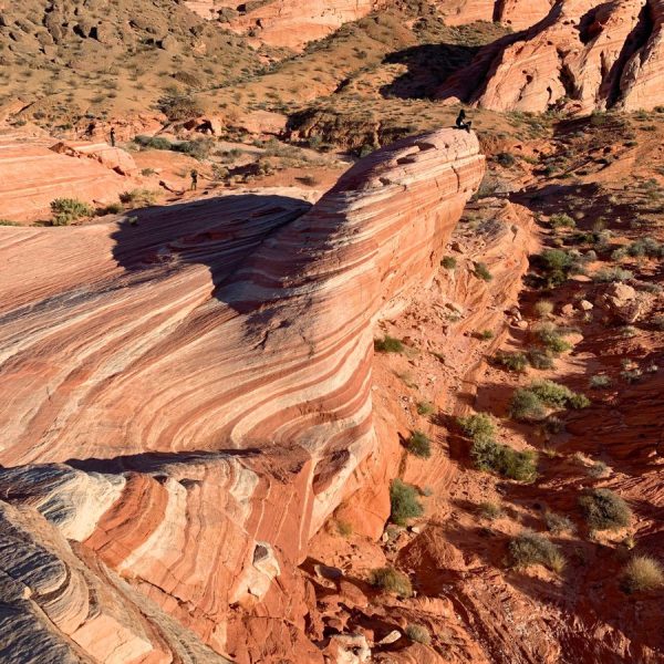 Fire Wave in Valley of Fire State Park