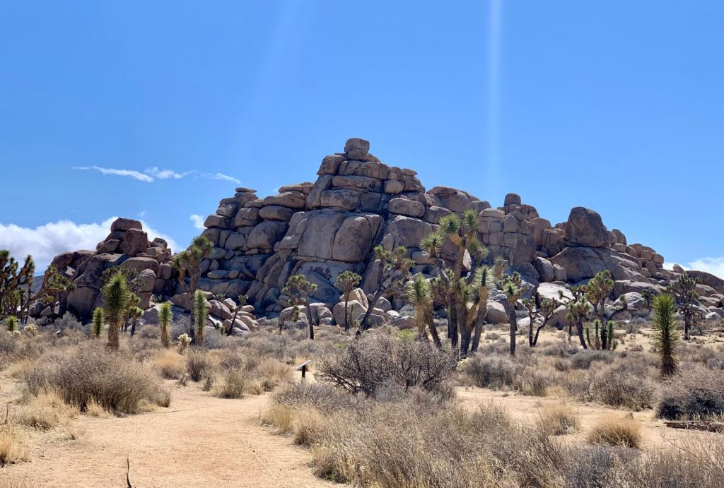 Giant pile of boulders in Joshua Tree National Park