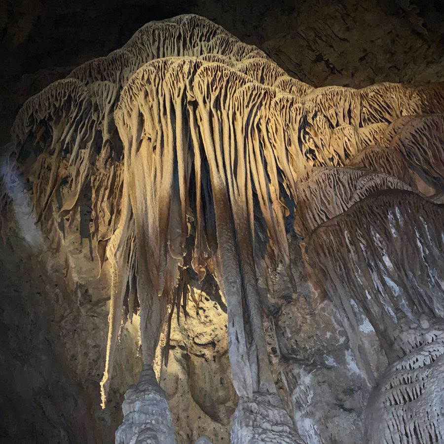 Horror movie inspiration at Carlsbad Caverns