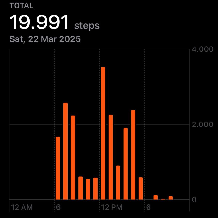 Steps taken while exploring Death Valley in 1 day