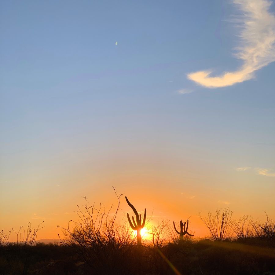 Sunset during my one day in Saguaro National Park