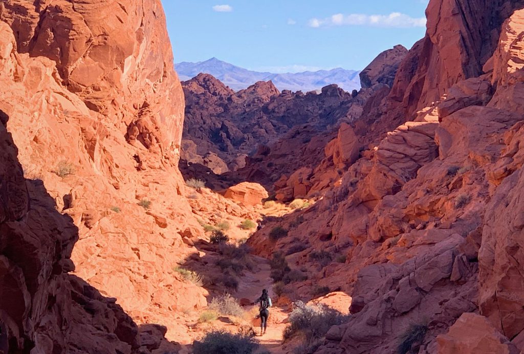 View of Fire Canyon while hiking in Valley of Fire State Park