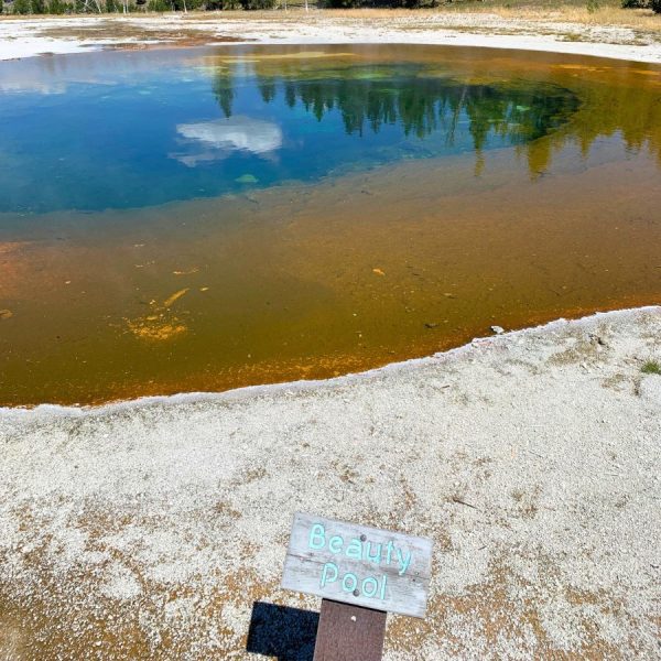 Beauty Pool geyser in Upper Geyser Basin Yellowstone