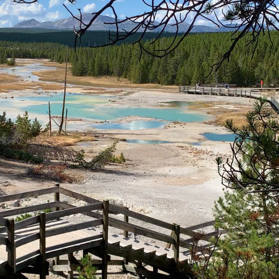 Norris Geyser Basin boardwalk