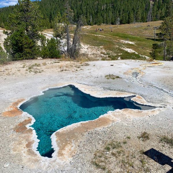 Teal colored geyser in Yellowston National Park