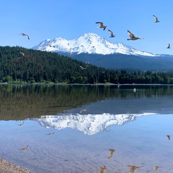 Reflection of Mount Shasta from Lake Siskiyou