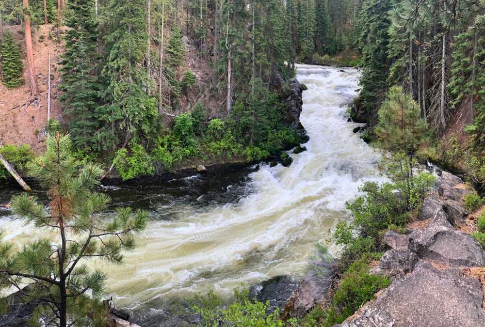Benham Falls from Benham West Trailhead