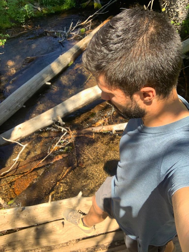 Creek crossing on the Chush Falls Trail