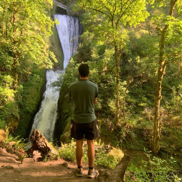 Green lush foliage at Bridal Veil Falls Portland