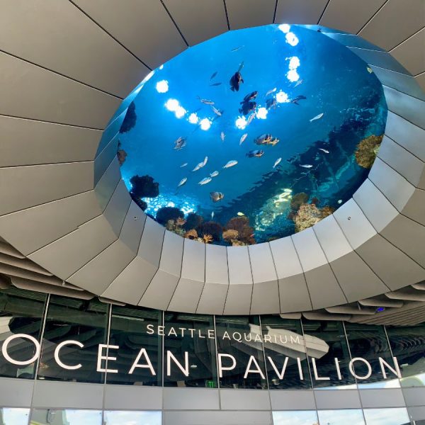 Outside the Seattle Aquarium on waterfront