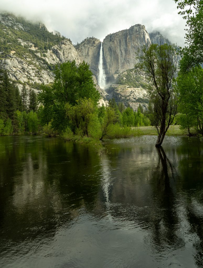 Reflection of Yosemite Falls from Swinging Bridge Picnic Area