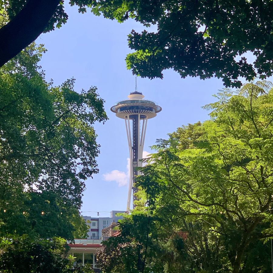 The Space Needle in Seattle from Denny Park