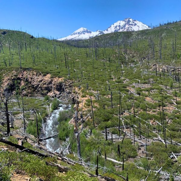 Volcanic peaks while hiking in Three Sisters Wilderness