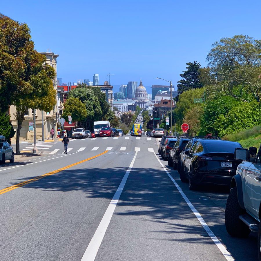 San Francisco City Hall and downtown from Alamo Square Park