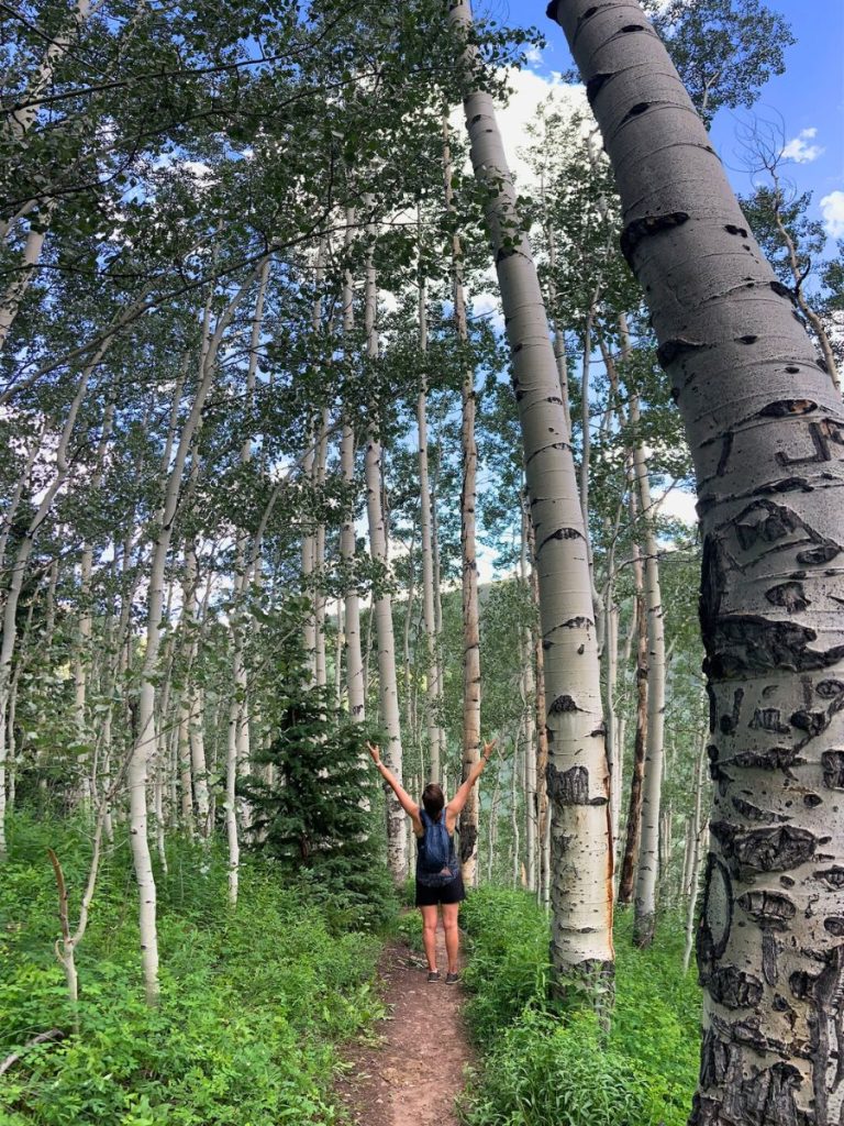 Hiking in an aspen forest in Colorado