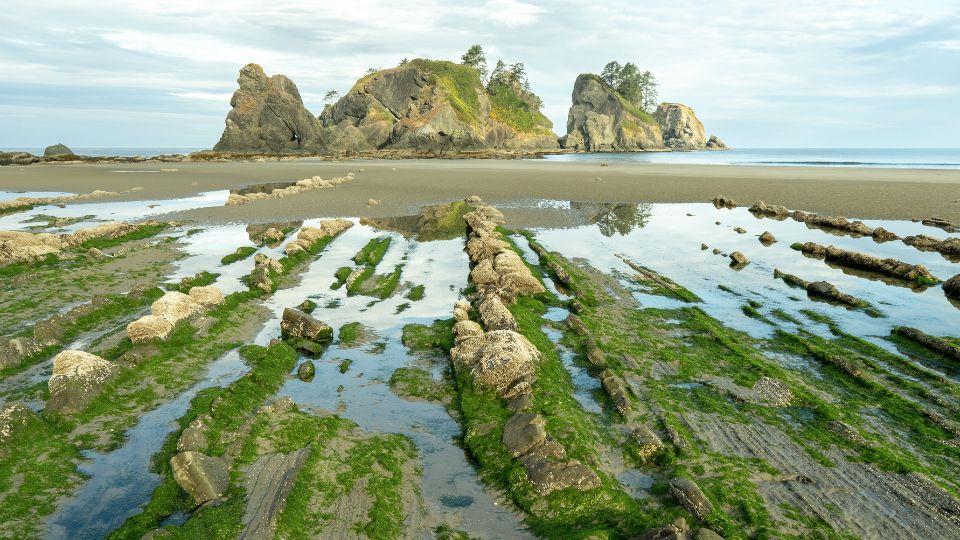 Point of Arches during olympic national park itinerary
