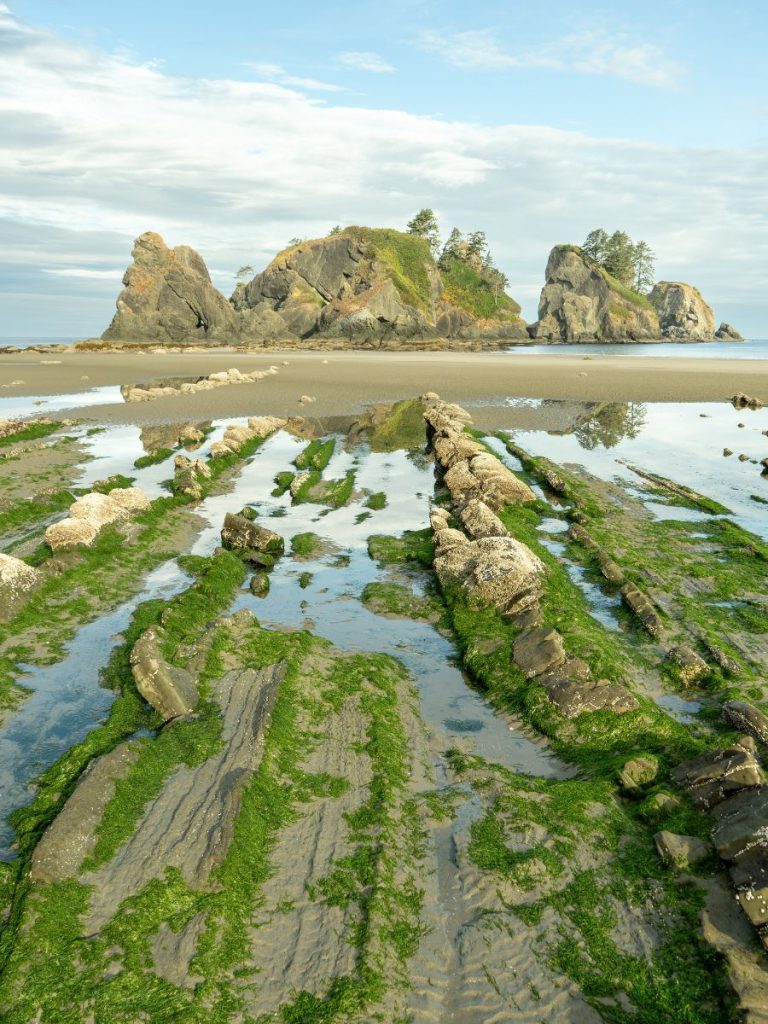 Hike to Point of Arches during Olympic National Park itinerary