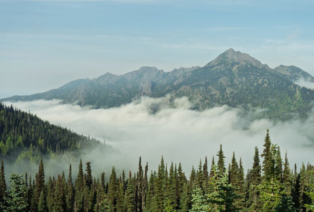 Hiking in Hurricane Ridge