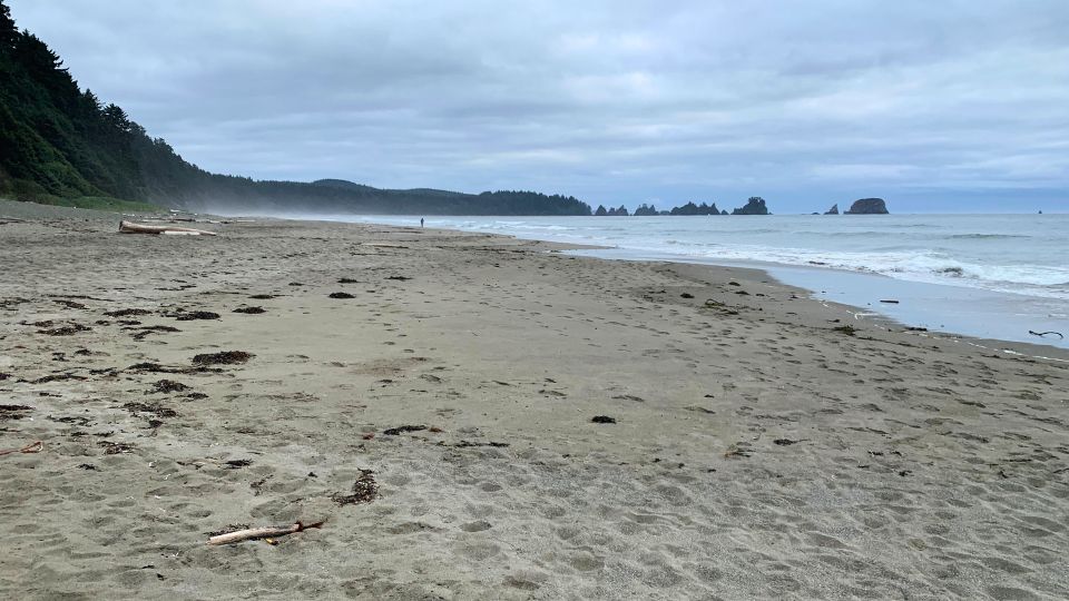 Hiking to Point of Arches on Shi Shi Beach