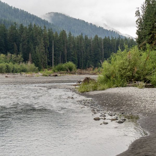 Hoh River on the Spruce Nature Trail