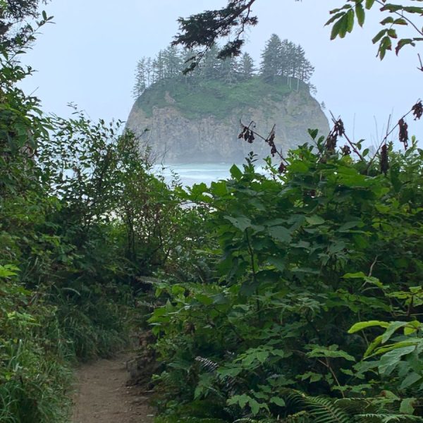 Huge sea stack on Second Beach on Washington Coast