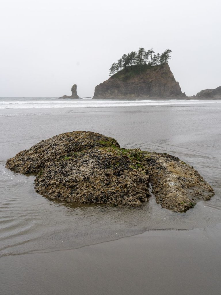 North coast of Washington in Olympic National Park