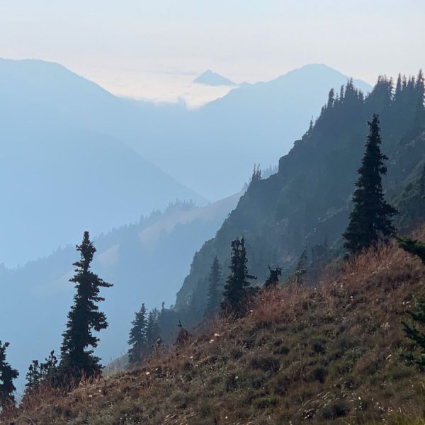 One of the views from top of Hurricane Hill