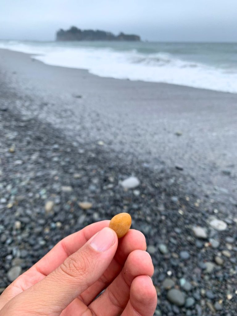 Pebble on the rocky shore of Rialto Beach