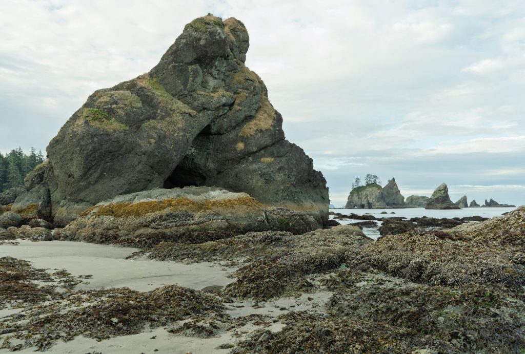 Point of the Arches
