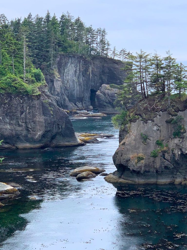 Sea cliffs in Cape Flattery the Northwesternmost point in the USA