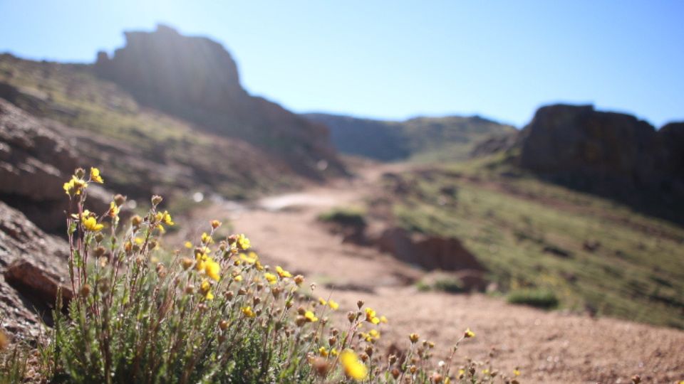 Hiking up Pikes Peak on The Crags trail